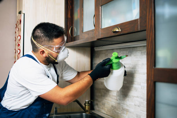 Best Residential Pest Control  in Alturas, FL