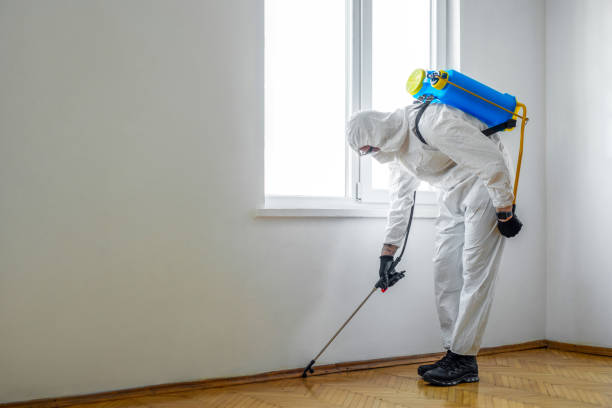 Best Best Pest Control Companies  in Alturas, FL